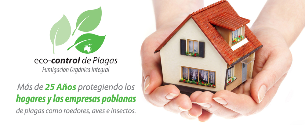 Control de Plagas de Roedores Eficiente y Ecológico