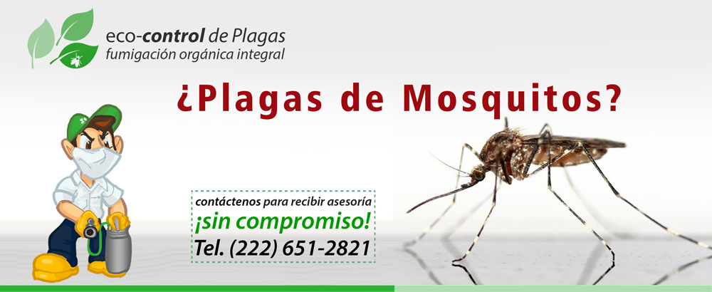 Plagas Mosquitos y Eco-control.mx